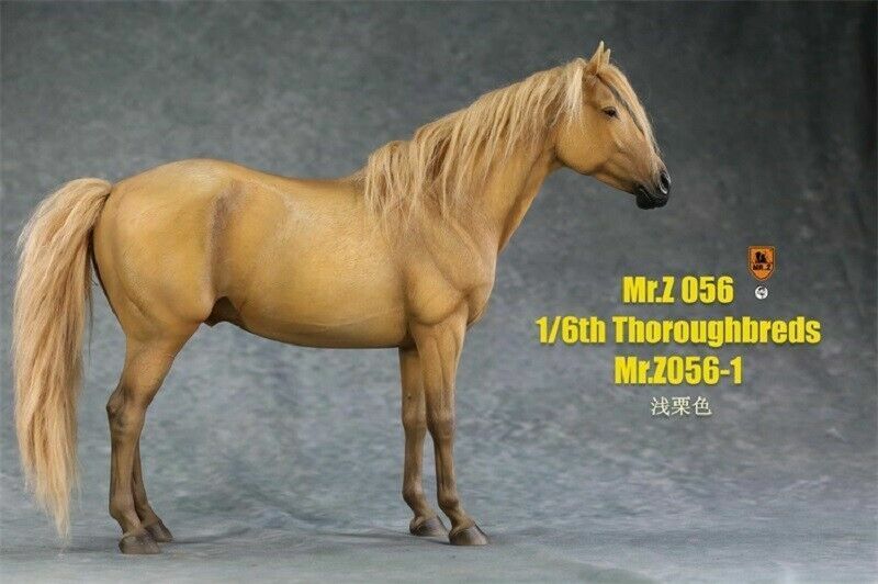 Mr.z 1/6th Horse Animal Model No.56 Thoroughbreds Painted Resin Statue New Stock