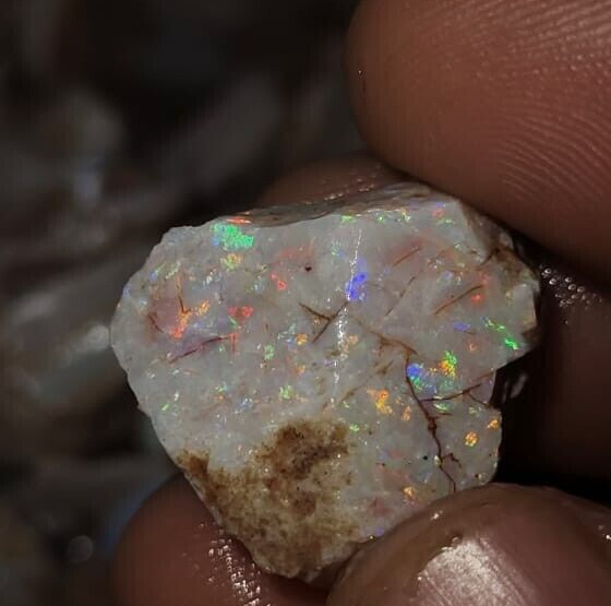 NATURAL AUSTRALIAN OPAL SHELL, IN THE ROUGH, FULL RAINBOW OF COLOURS