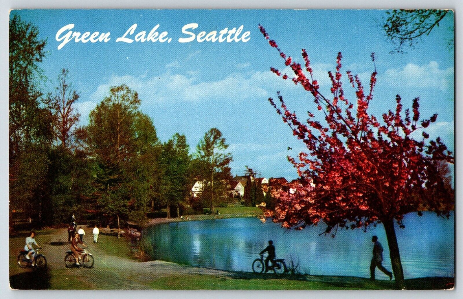 Postcard Seattle Washington Green Lake Bicycle Path
