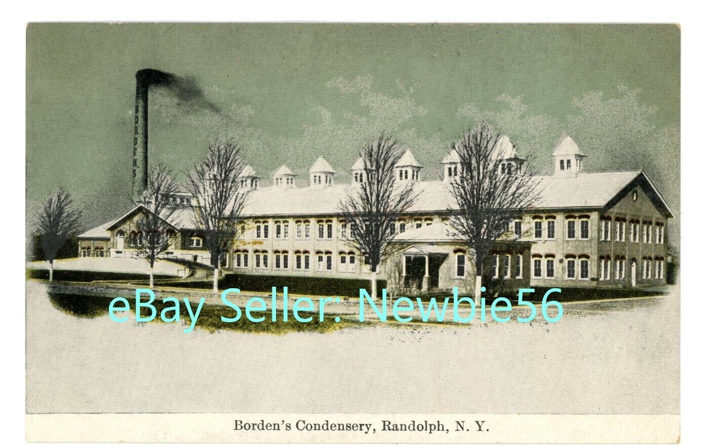Randolph NY - BORDENS CONDENSERY CREAMERY IN WINTER - Postcard