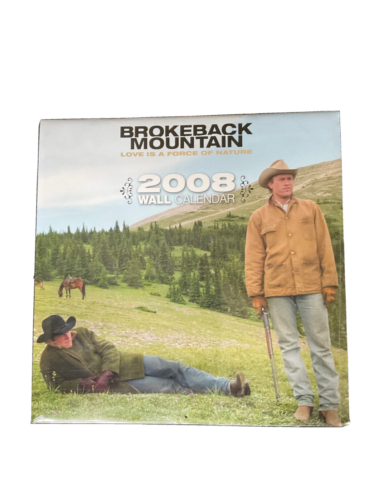 BROKEBACK MOUNTAIN 2008 calendar - Ledger-Gyllenhaal - NEW/UNOPENED