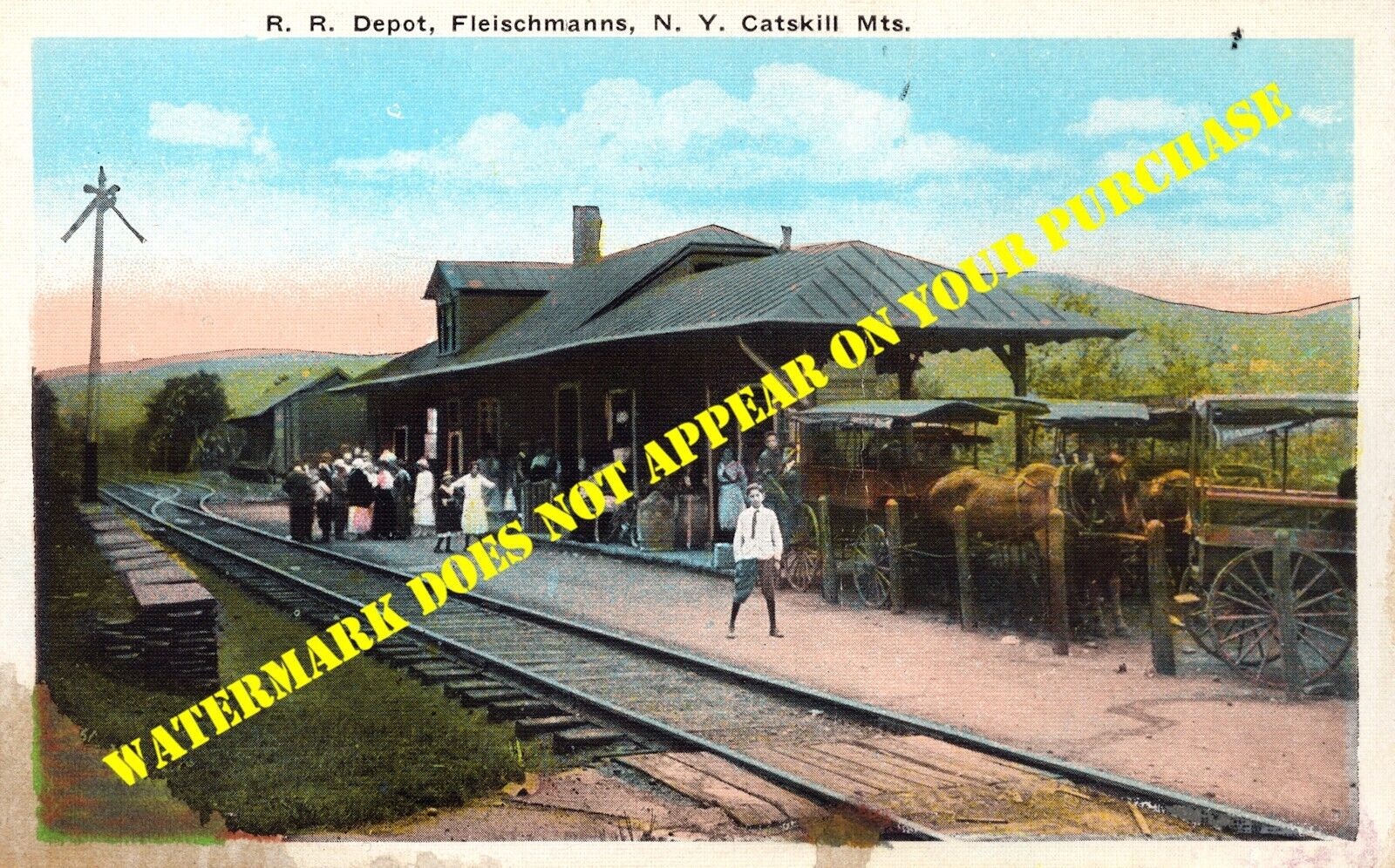 Ulster & Delaware Fleischmanns NY station view #3 postally unused WB c1918