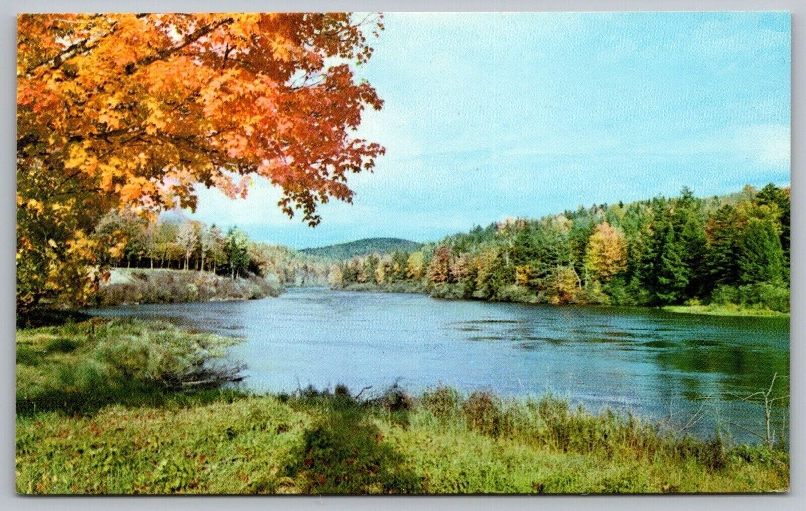 13 Mile Woods Androscoggin River Northern New Hampshire Riverfront UNP Postcard