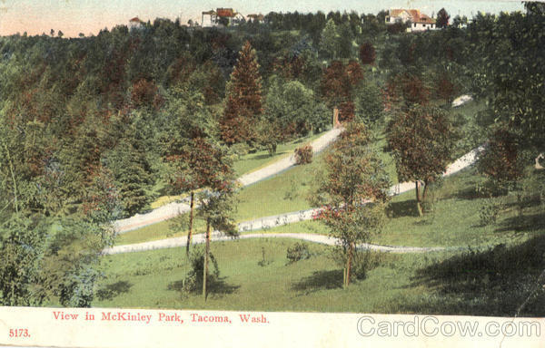 1908 Tacoma,WA View in McKinley Park Pierce County Washington Postcard 2c stamp