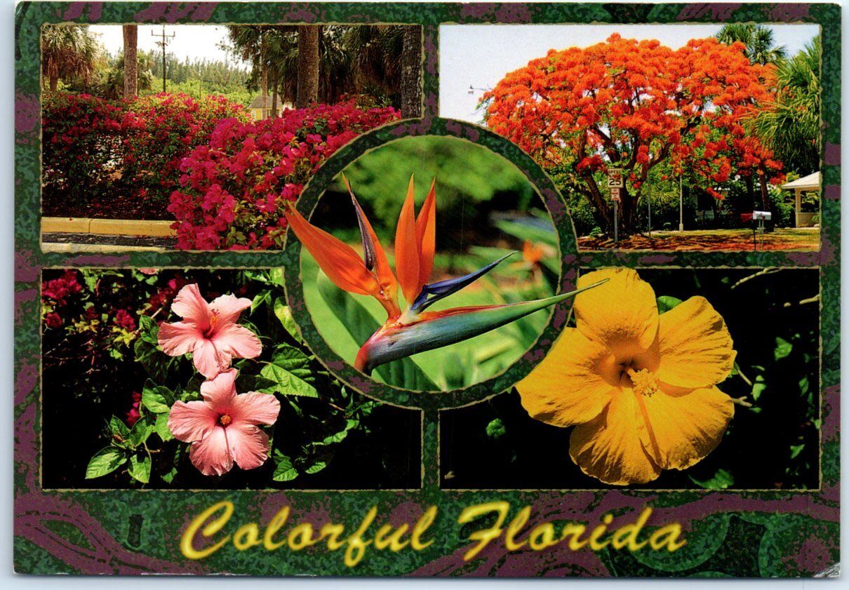 Postcard - Colorful Florida - Greetings from Florida