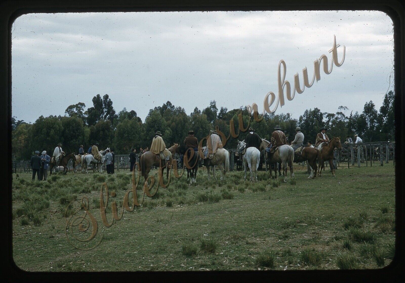 Argentina Horses Men Ponchos 35mm Slide 1950s Red Border Kodachrome