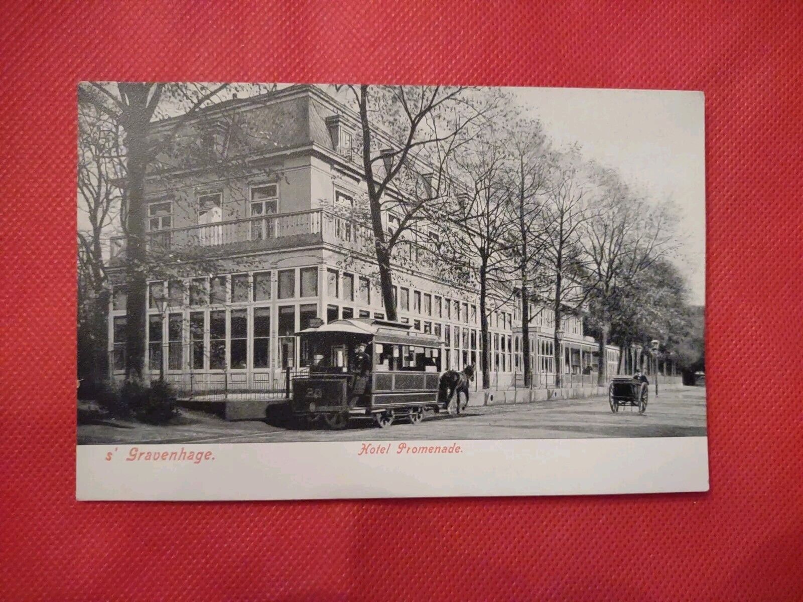 Hague 1905 Netherlands Public Transportation  Post Cards