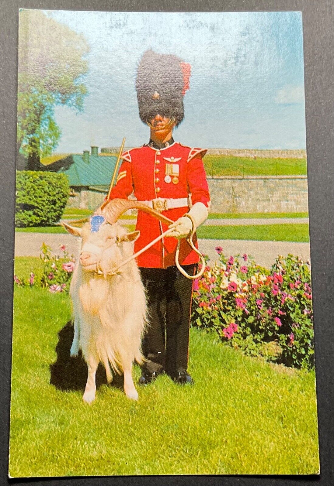Canada Postcard The Corporal In Charge Of Baptiste The Mascot La Citadelle