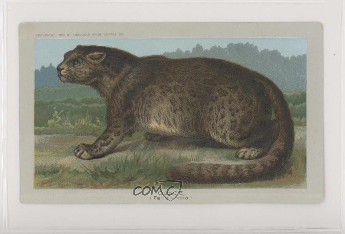 1890 Arbuckle Bros Zoological Ounce #18 z6d