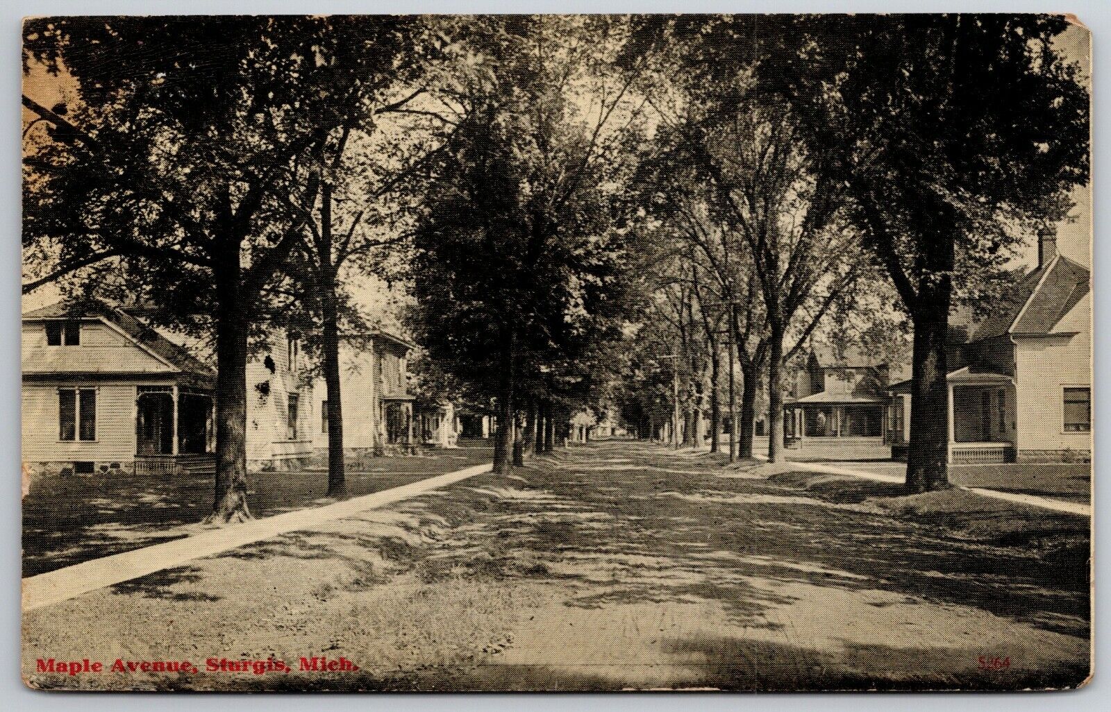 Sturgis Michigan~Homes on Shady Maple Avenue~Wrap-Around Porch  c1910 Postcard