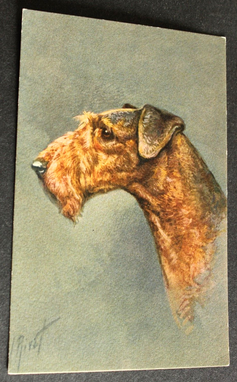 Artist-Signed DOG BREED Postcard 