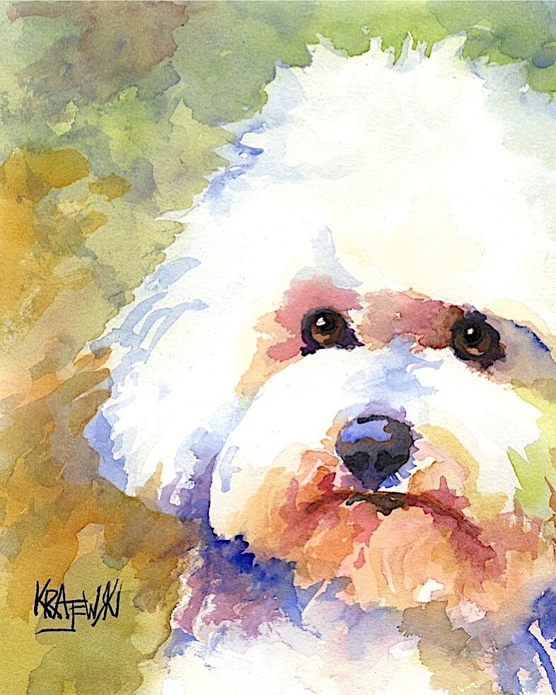 Bichon Frise Art Print from Painting | Bichon Gifts, Poster, Home Decor 8x10