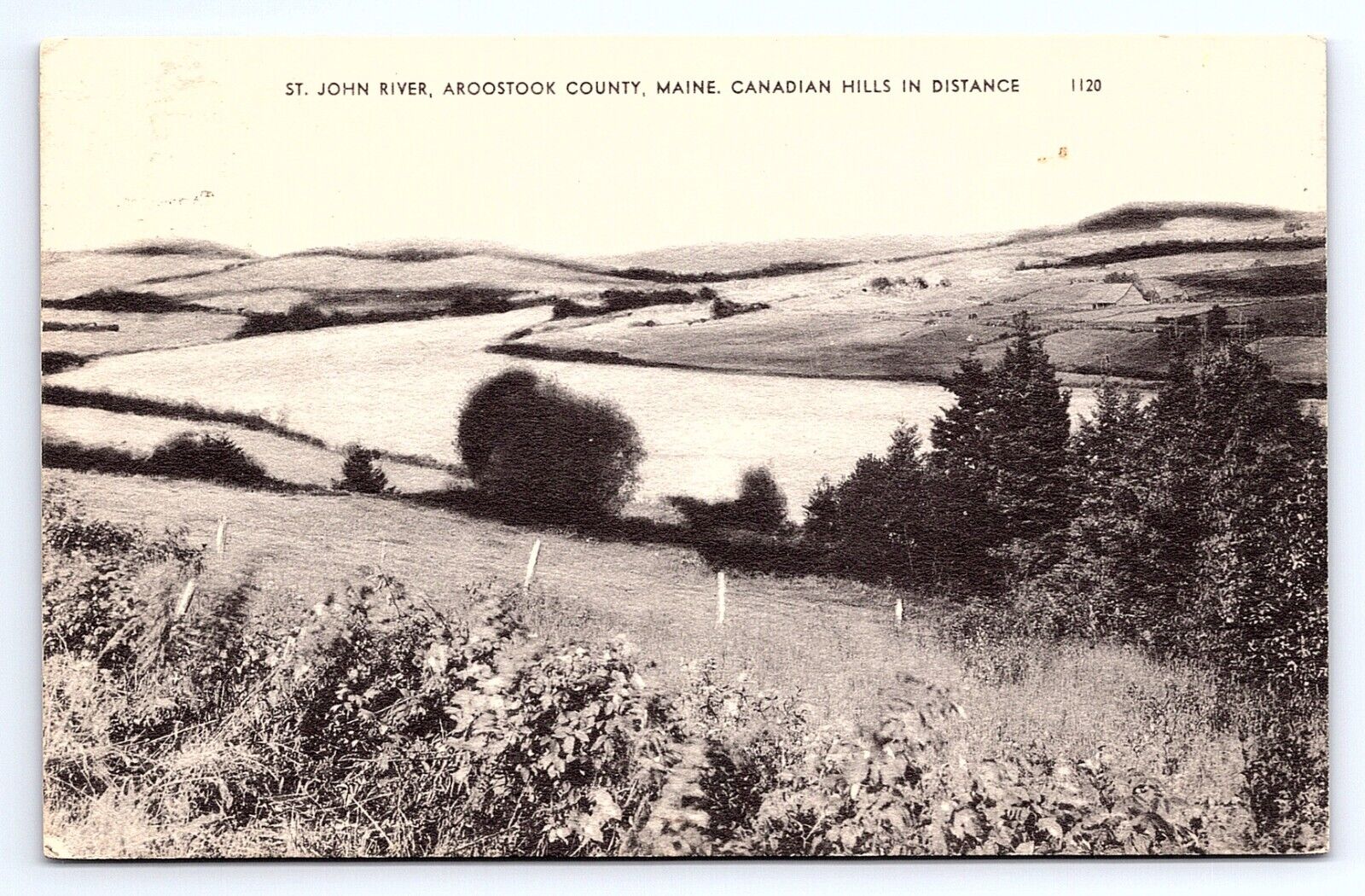 Postcard St. John River Aroostook County Maine Canadian Hills in Distance ME