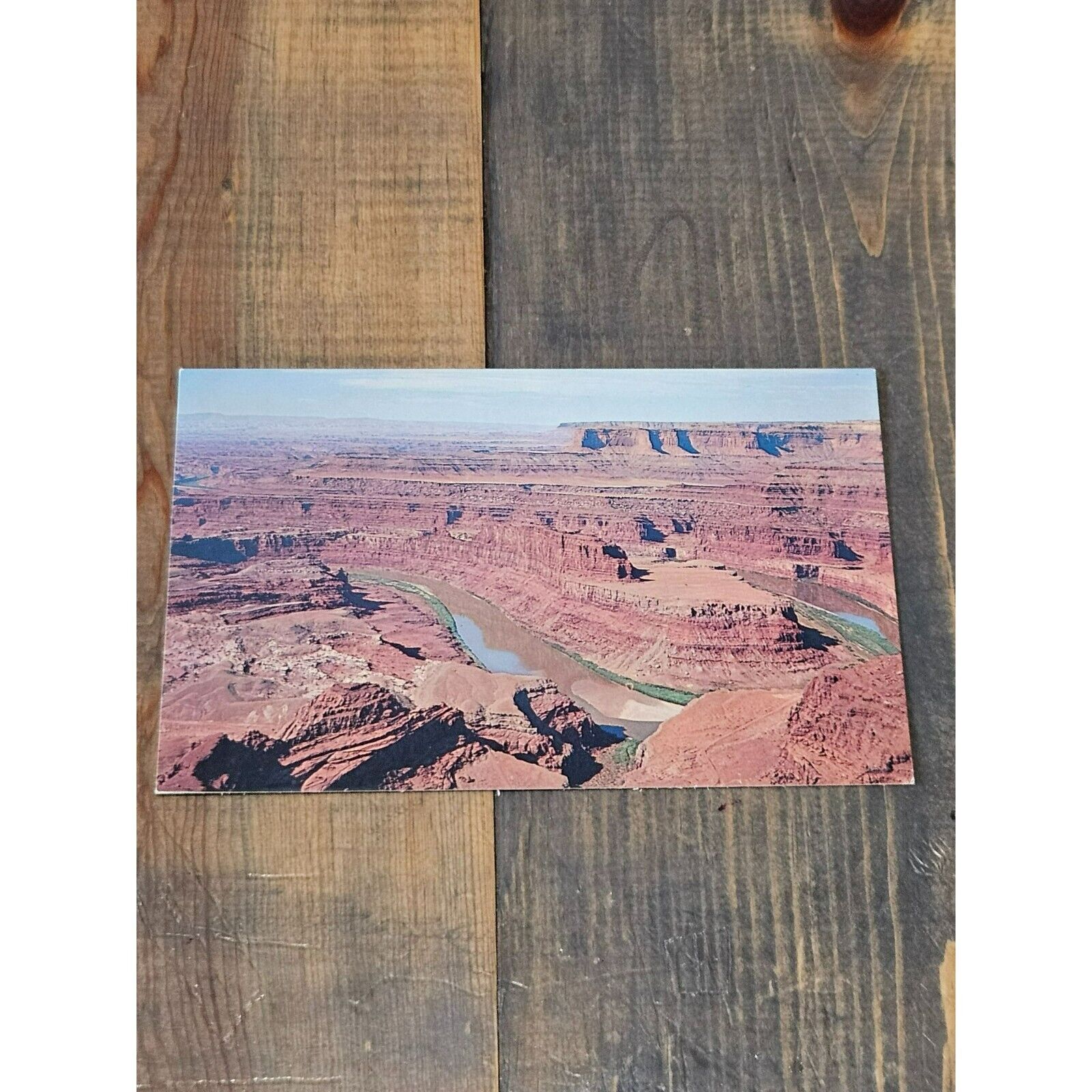 Colorado River Postcard From Dead Horse Point Chrome Divided