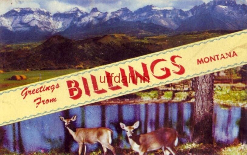 GREETINGS FROM BILLINGS, MONTANA mountains and deer 1957