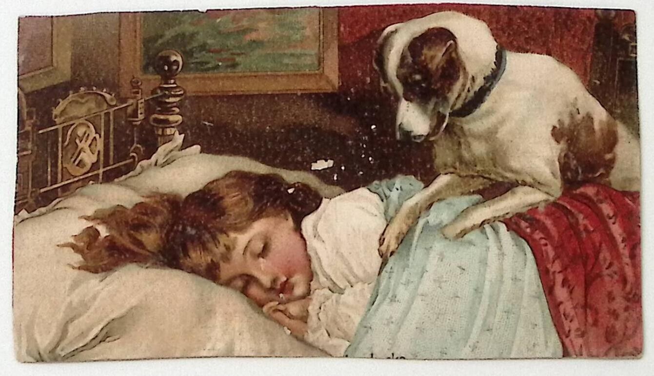 c1880 DOG WAKING SLEEPING GIRL PARKER'S HAIR BALSAM VICTORIAN TRADE CARD P4403