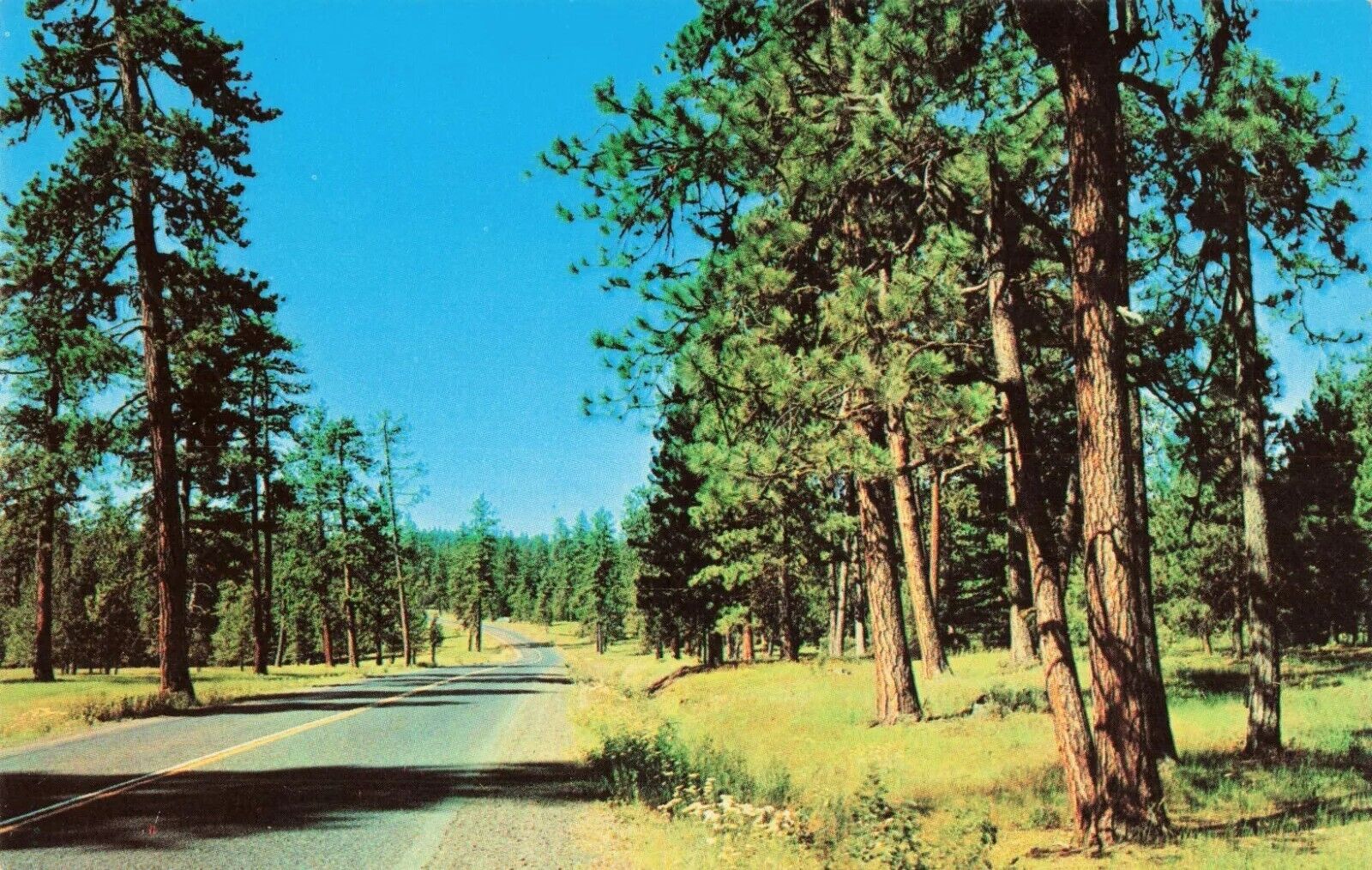 Highway 30 in Eastern Oregon OR - Pendleton, La Grande, Baker - Postcard