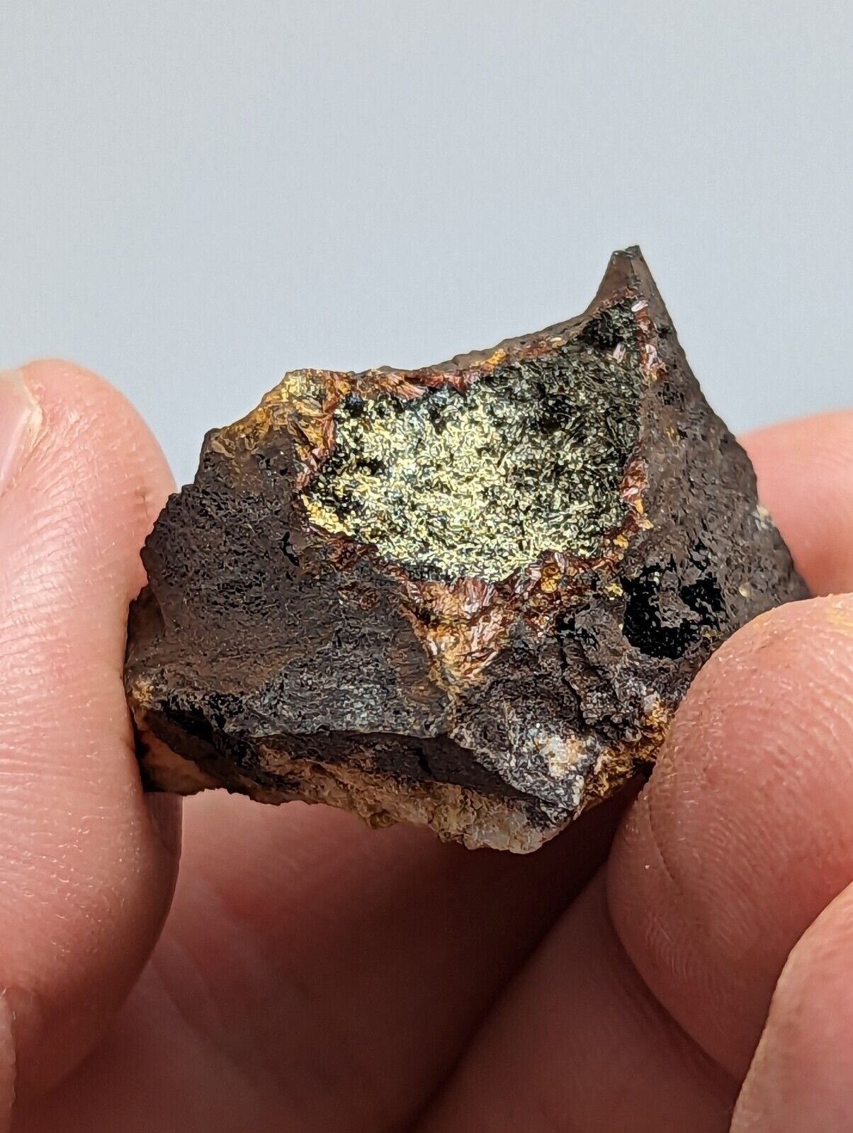 Rare Kidwellite On Black Rockbridgeite, Beraunite -York Mine, Polk Co, Arkansas