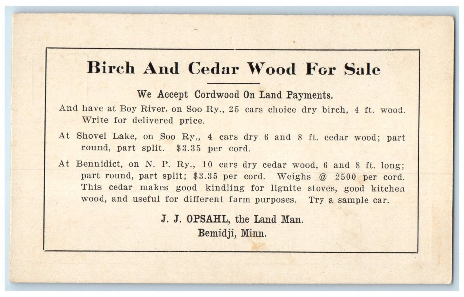 c1940 Birch Cedar Wood For Sale Land Man Bemidji Minnesota MN Vintage Postcard