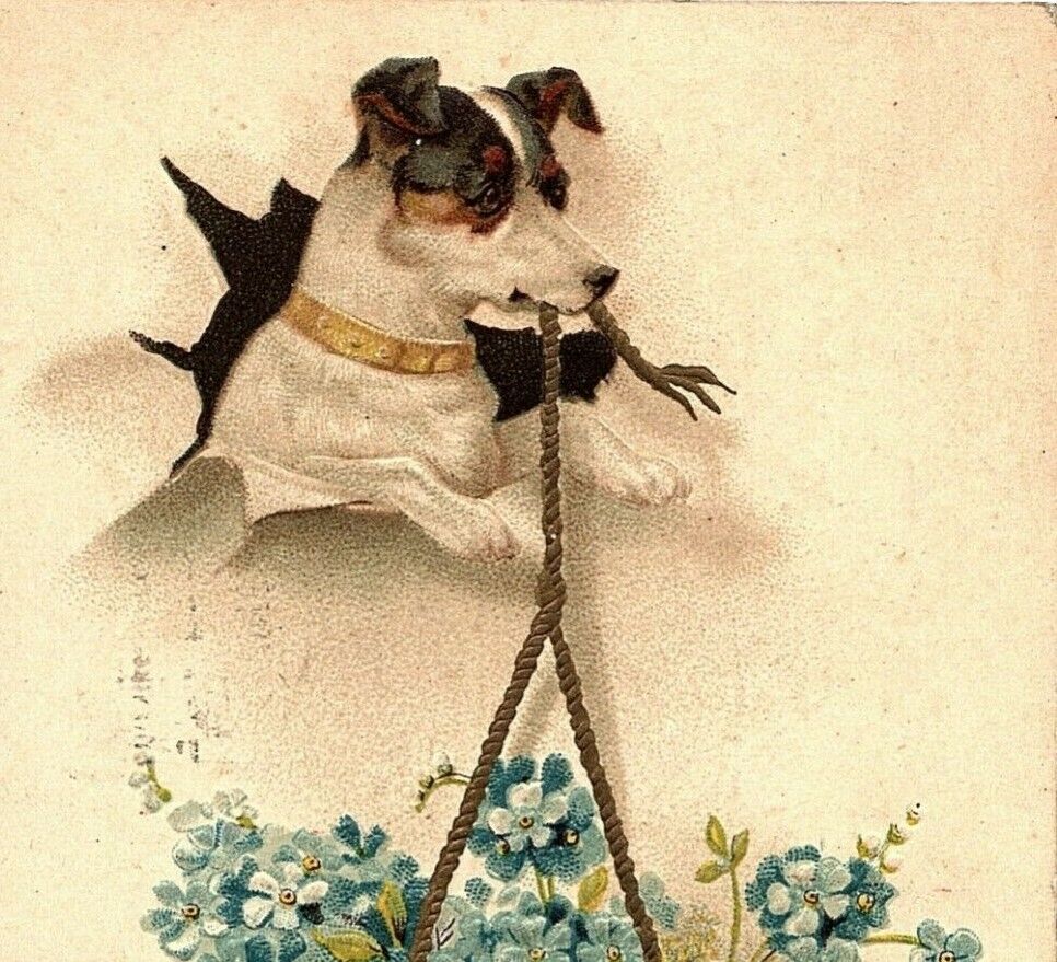 1910 Dog Holding Shoe With Flowers Birthday Greetings Postcard  