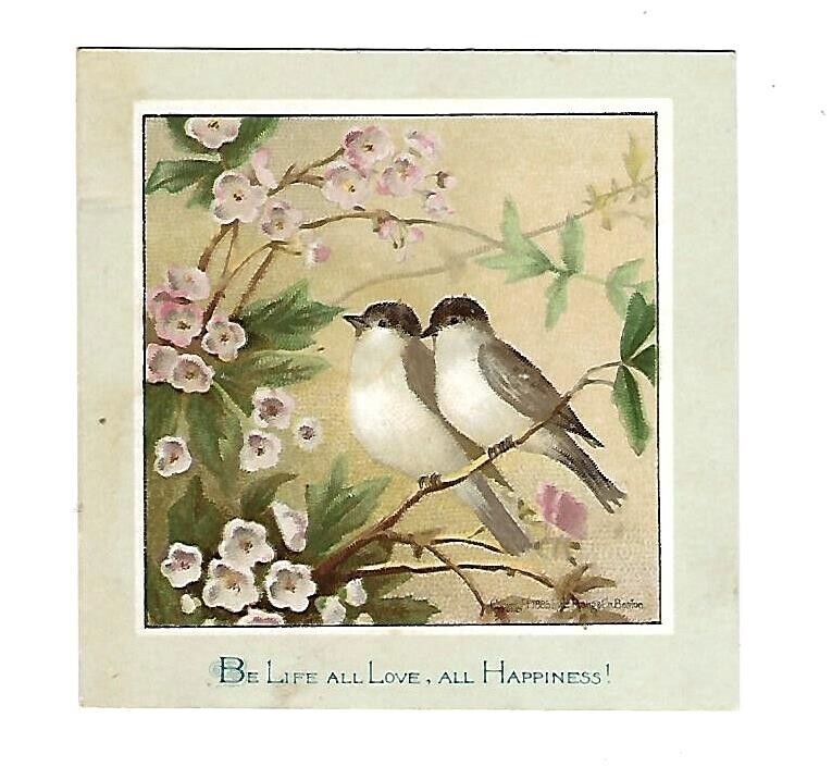 c1890's Stock Victorian Trade Card Birds Sitting on a Branch