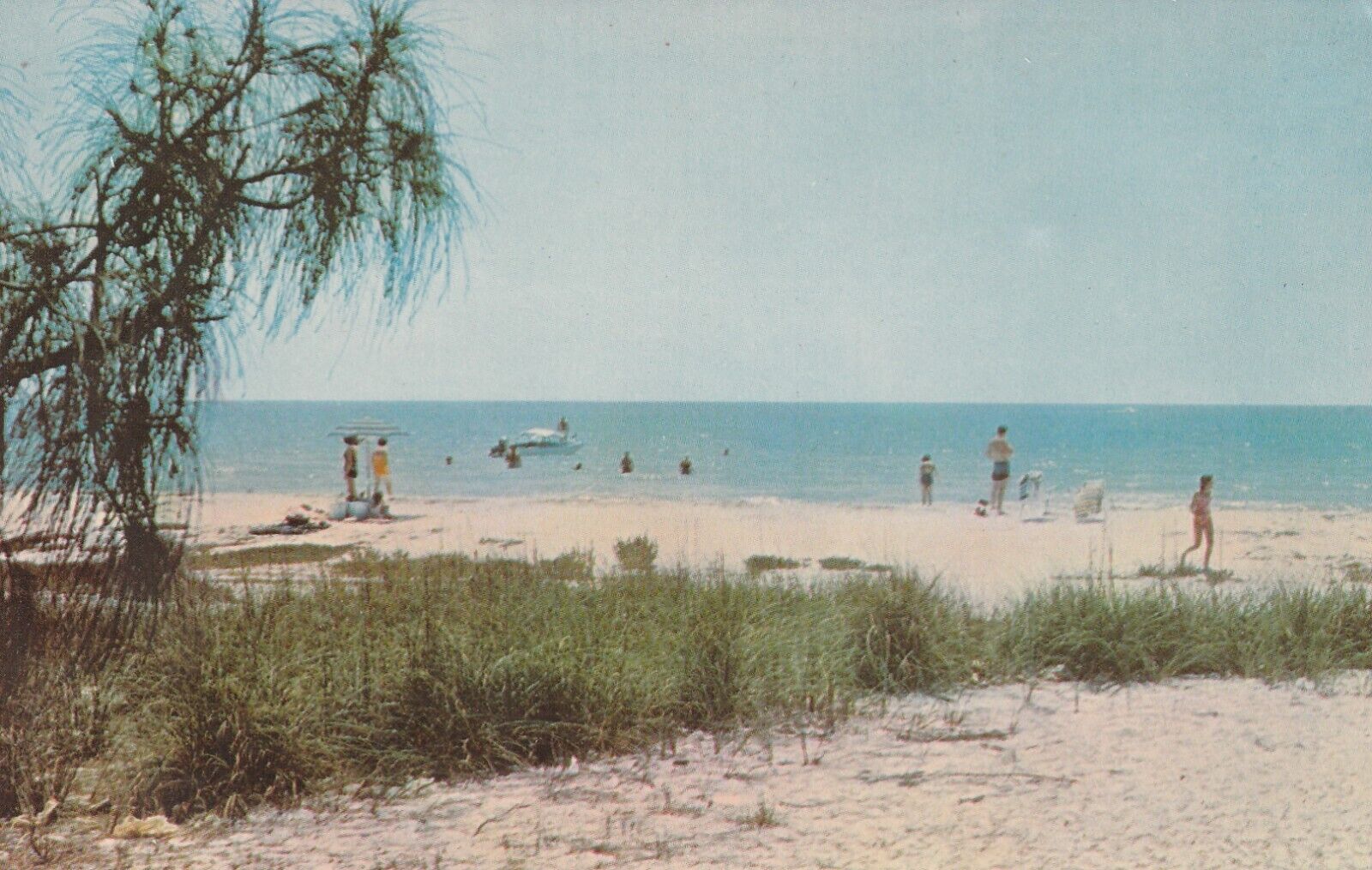 Postcard Swimming Shelling Beach Goers Sanibel Island Florida Unposted 