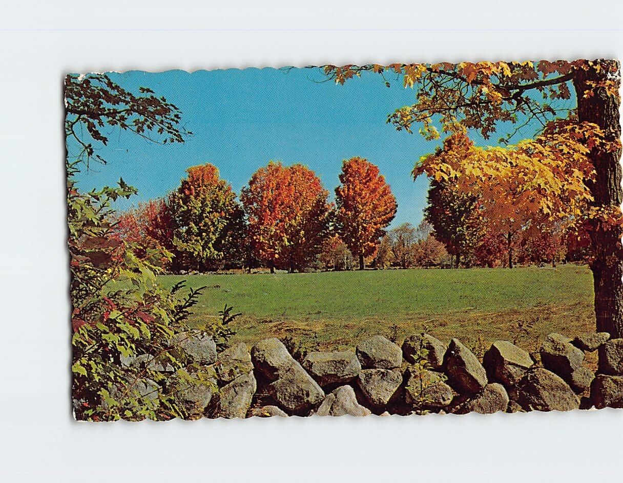 Postcard Rock Wall & Fall Foliage New England USA