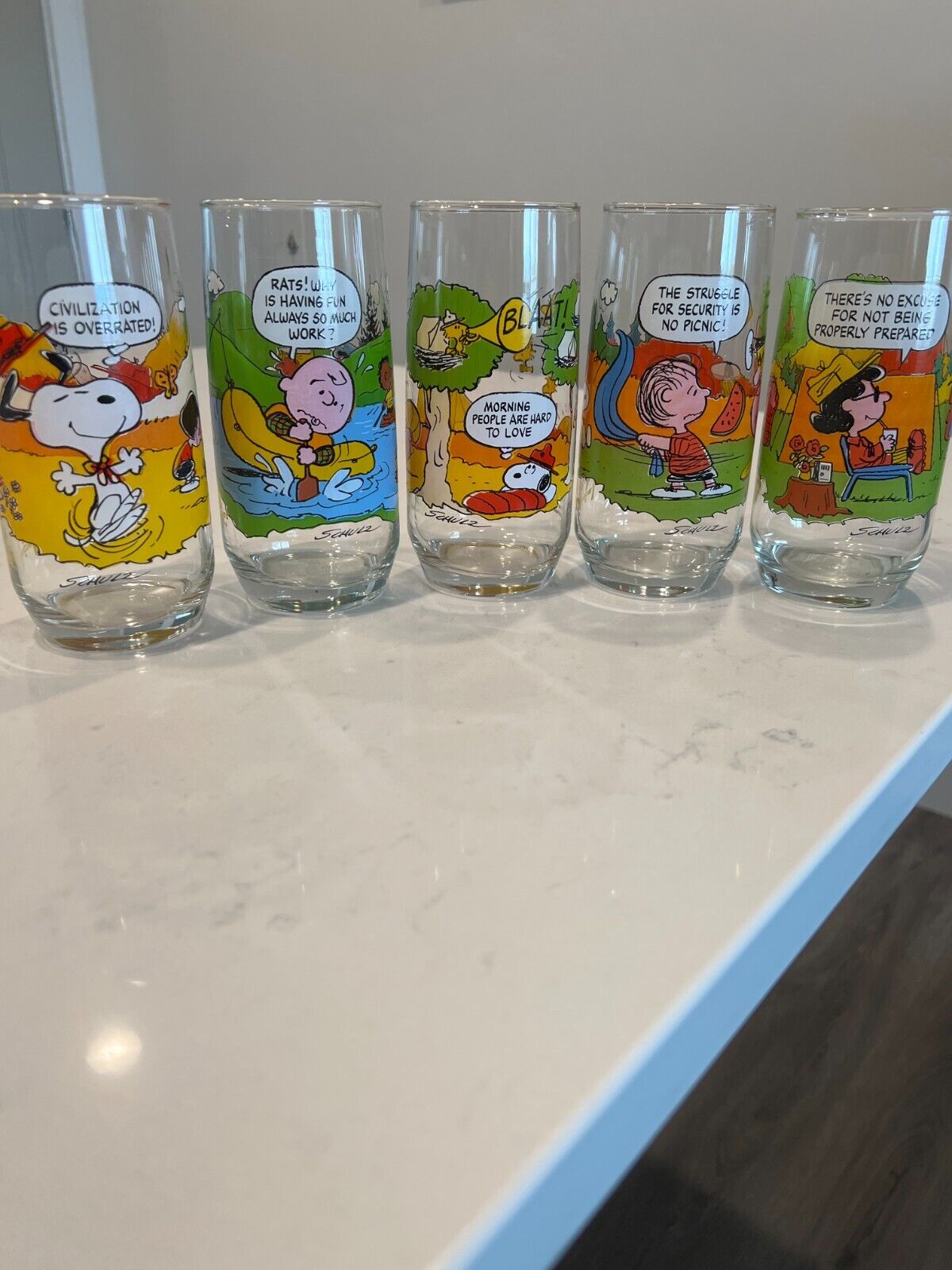 Vintage McDonald's Peanuts Camp Snoopy Collection Glasses Complete Set of 5