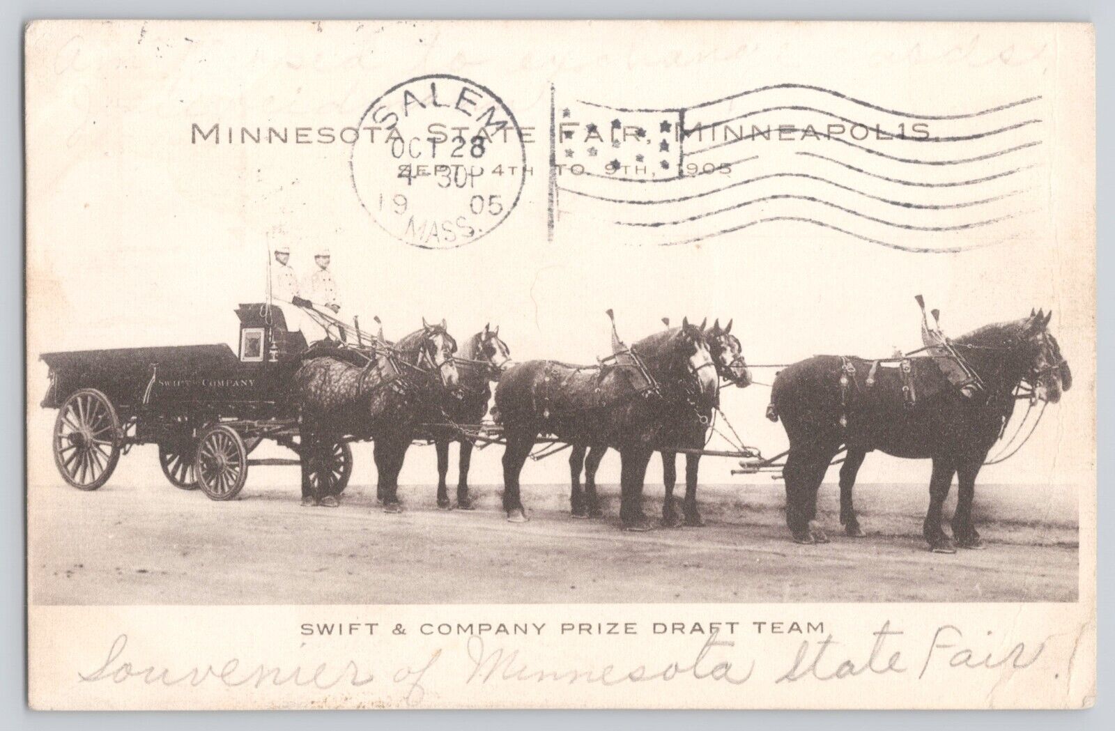 Postcard 1905 Minnesota Minneapolis State Fair Swift & Co Prize Draft Team