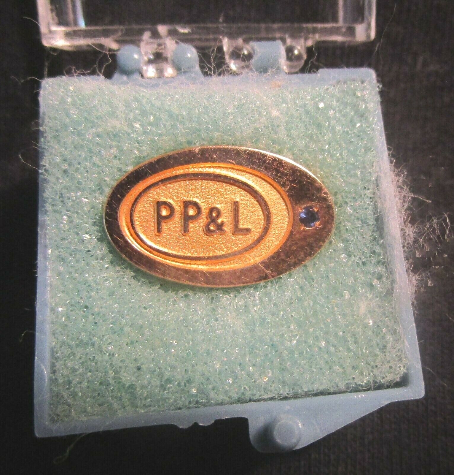 Vintage PP & L Green Emerald Gold Service Award Pin 