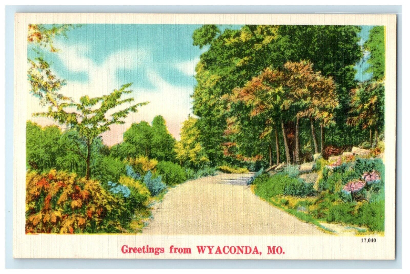 c1940\'s Greetings From Wyaconda Missouri MO Road Flowers Postcard