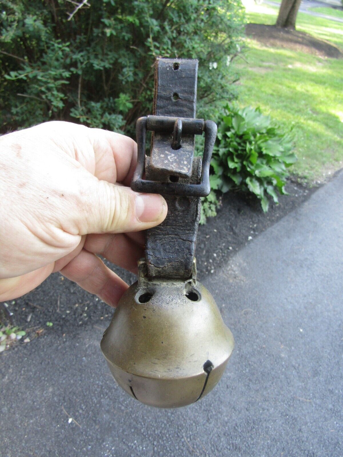 Antique Cow Bell Old Leather Strap   Solid Brass Bell from Maine estate