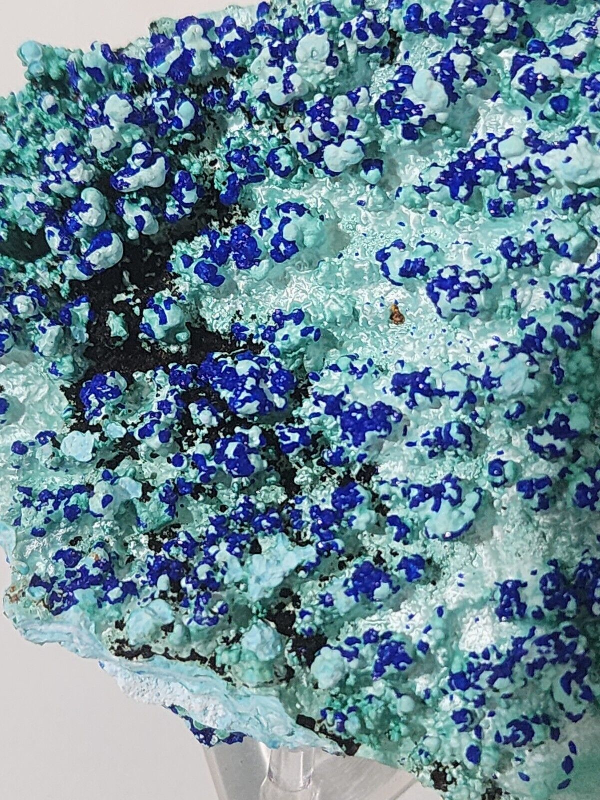 Blue Azurite on Botryoidal Gibbsite (Guizhou Province China) 61 grams