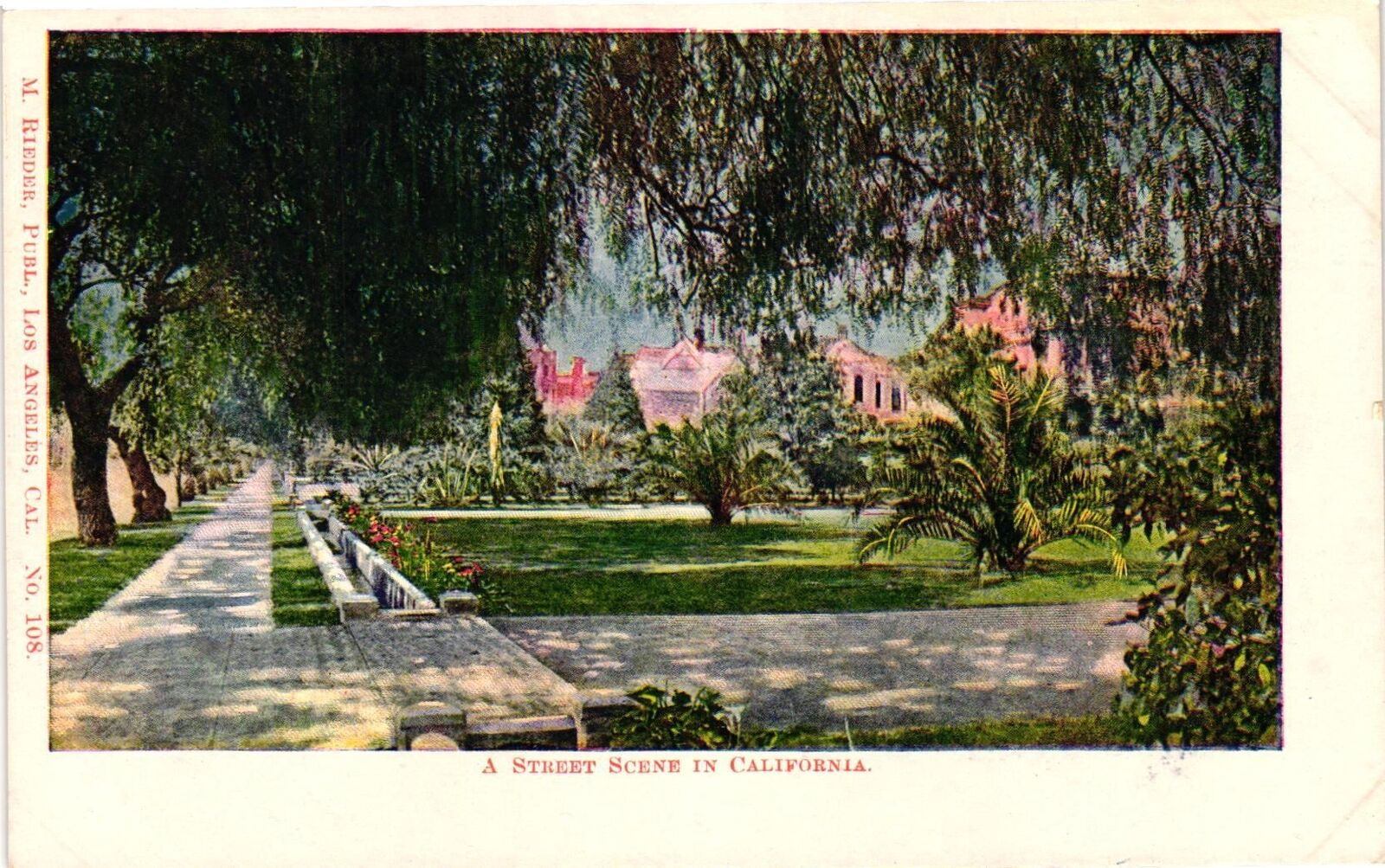 Vintage Postcard- A Street Scene in California Early 1900s