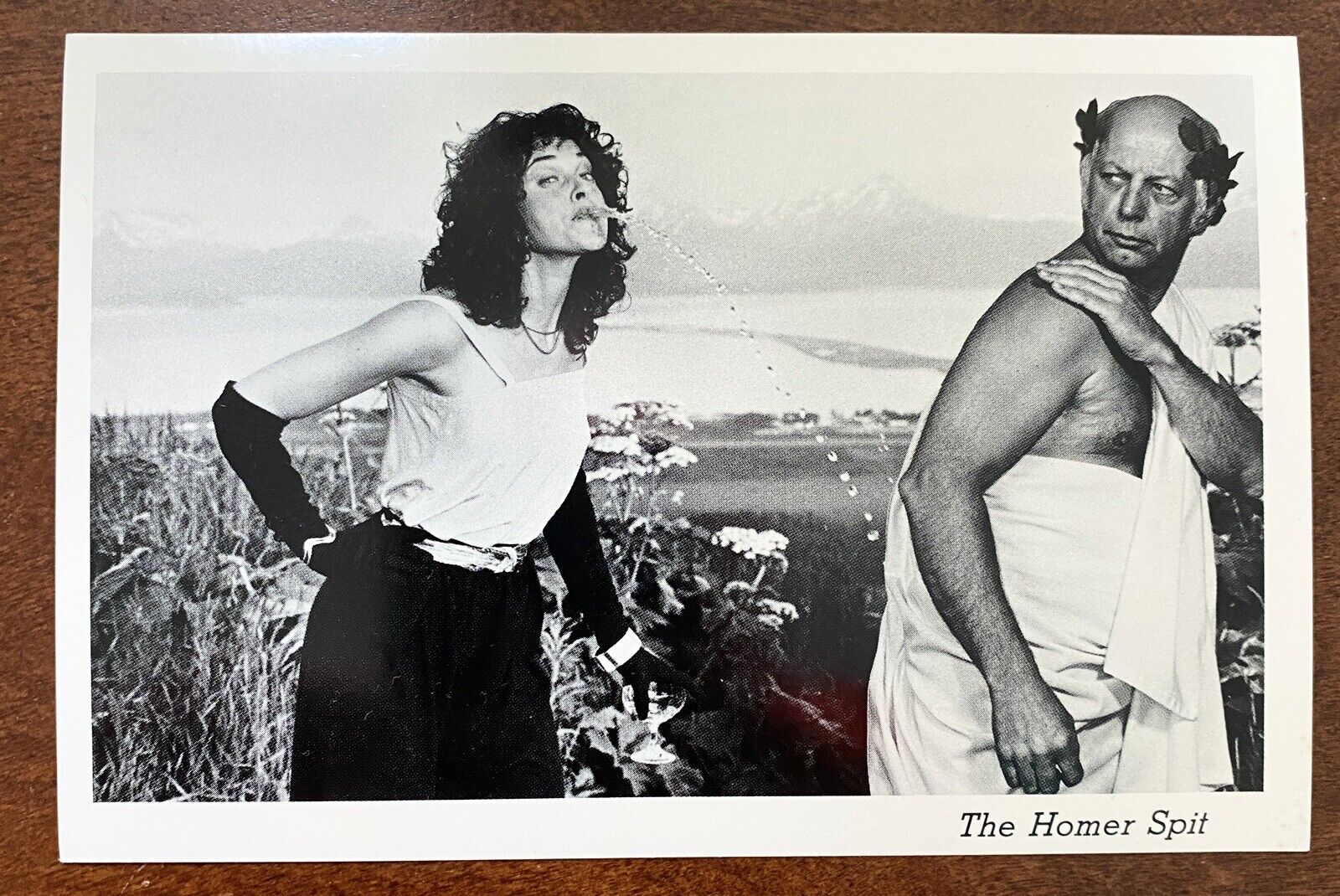 Vintage Postcard, Alaska Humor, The Homer Spit, Kachemak Bay, Joke UNP