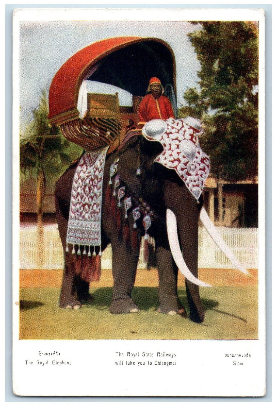 c1905 Royal Elephant State Railways Will Take You to Chiengmai Siam Postcard