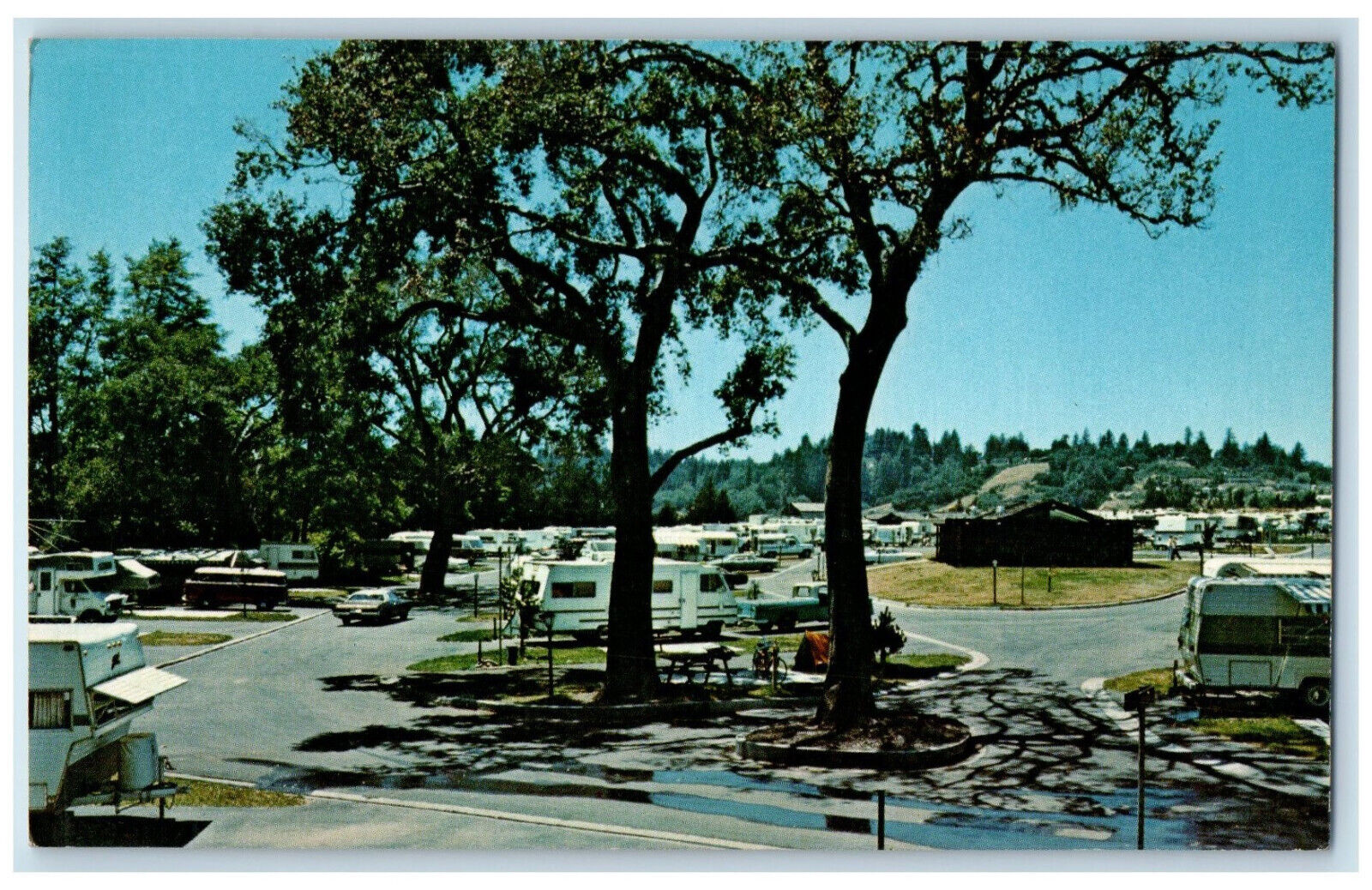 c1950's Winding Paved Roads Thread Luxury Park Scotts Valley CA Postcard