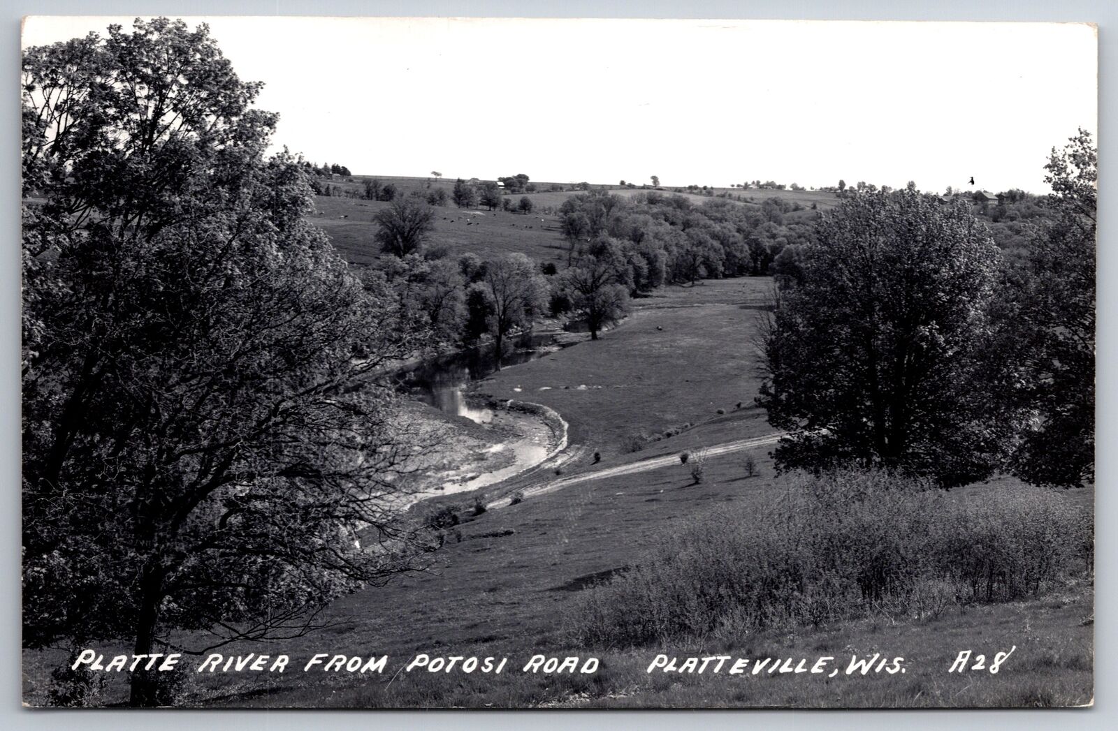 Platteville Wisconsin~Platte River @ Potosi Road Birdseye View~1940s RPPC
