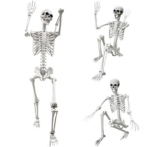 5.4Ft Halloween Life Size Human Skeleton with Movable Joints for Halloween Props