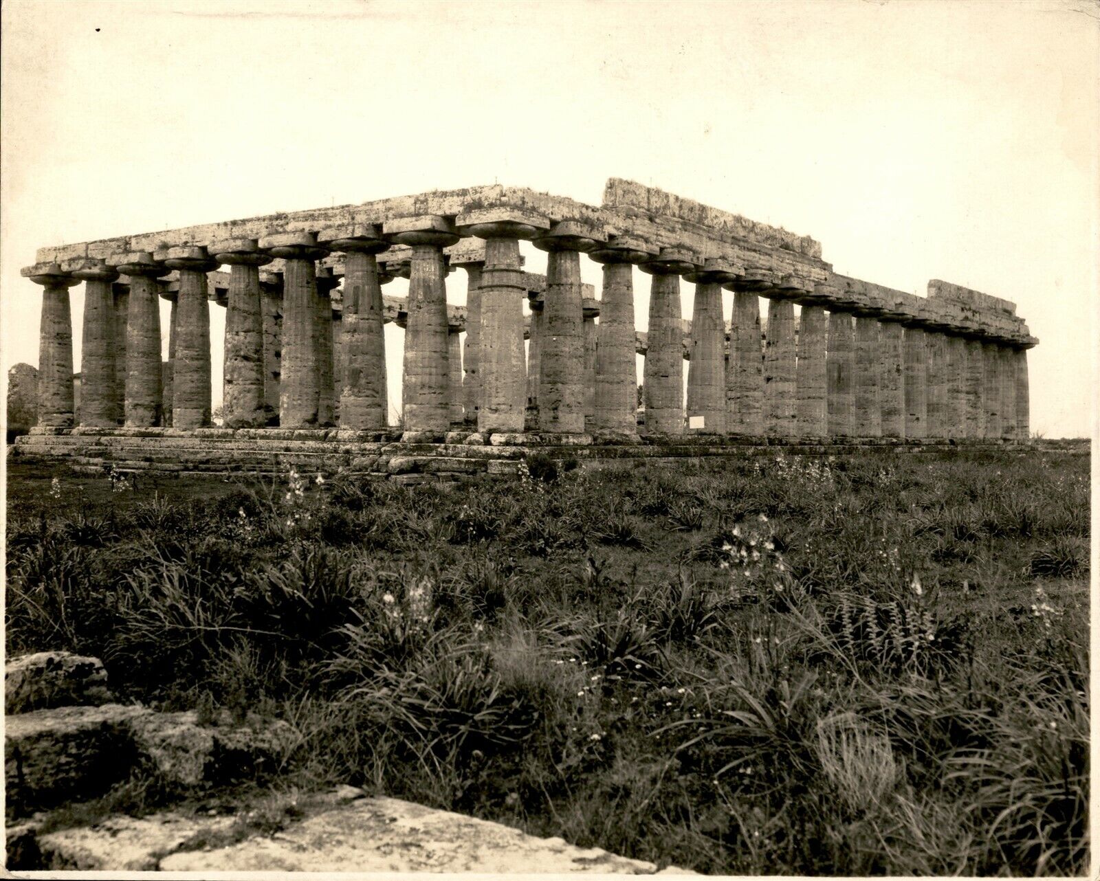 GA148 Original Photo PAESTUM ON THE GULF OF SALERNO Basilica Grecian Landmark