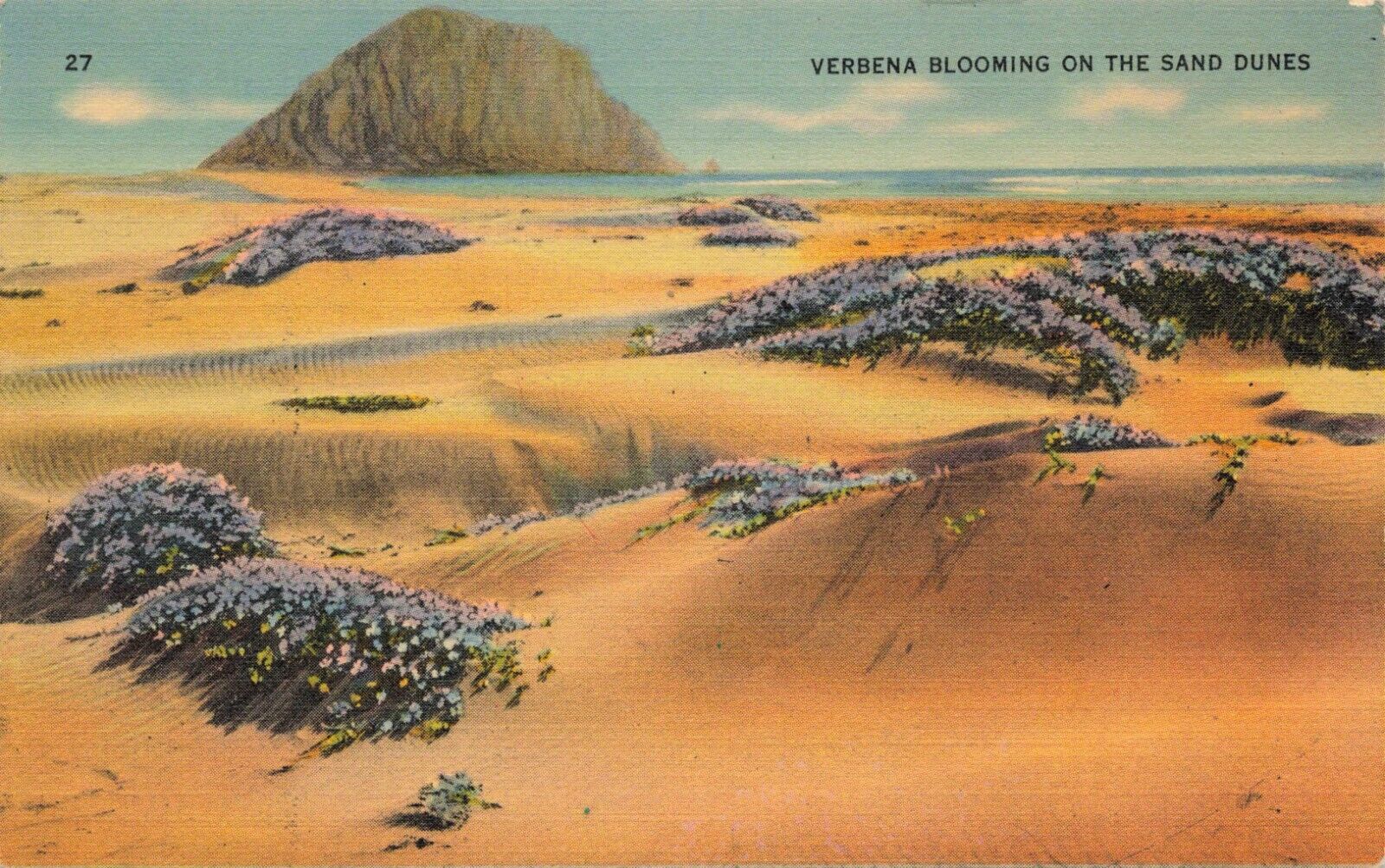 Postcard Verbena Blooming On The Sand Dunes Linen Card Vintage