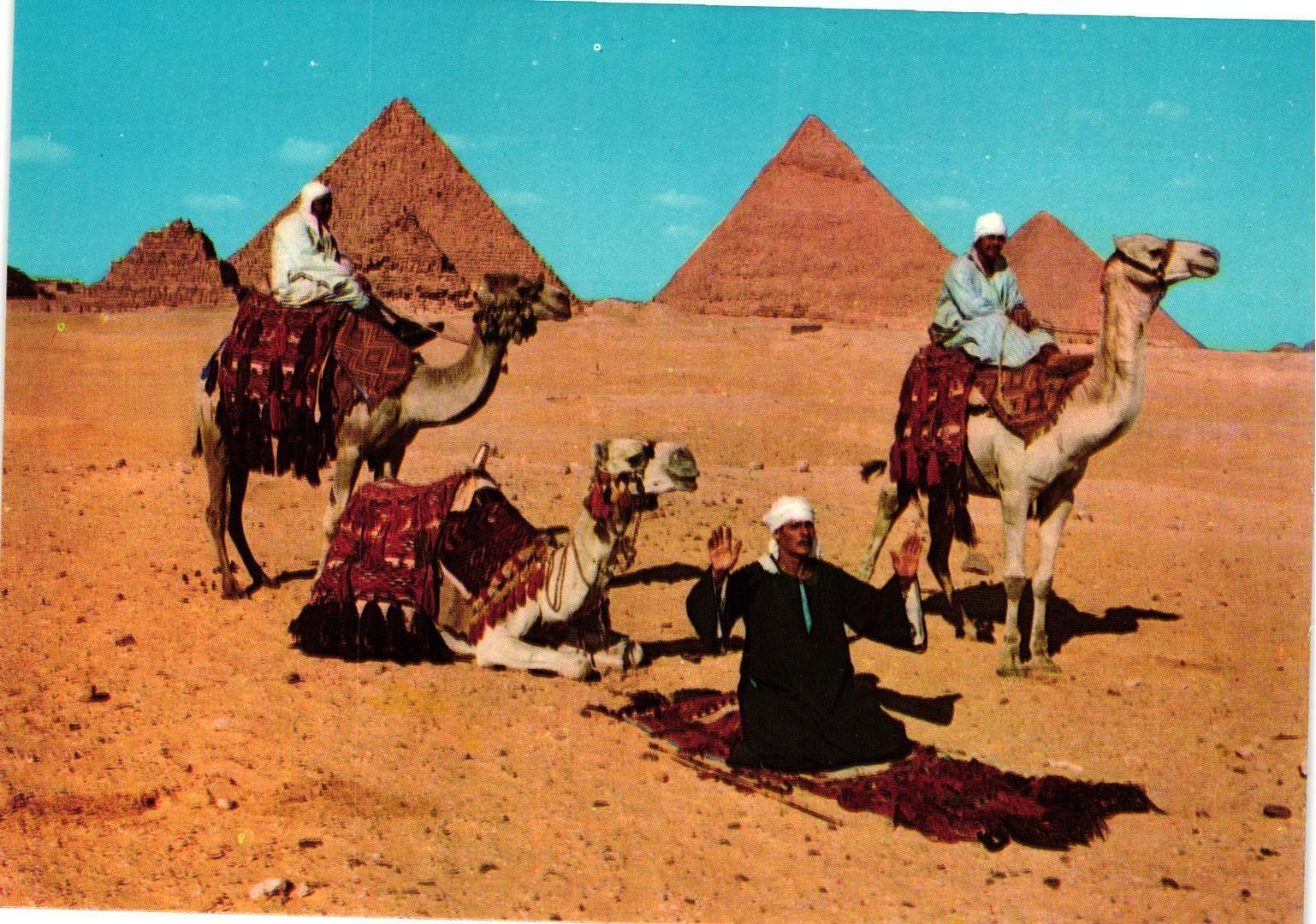 Vintage Postcard 4x6- Giza -  Arab Camel riders in front of the Pyramids