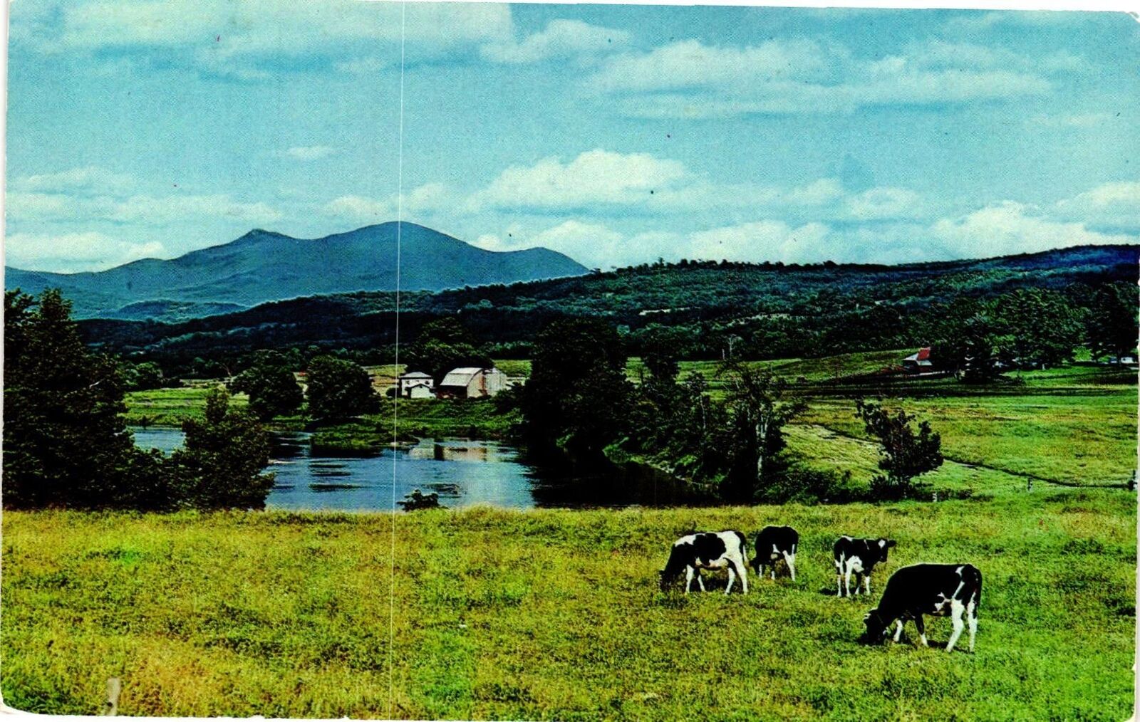 Vintage Postcard- Mississquoi River with Jay Peak, Vermont.