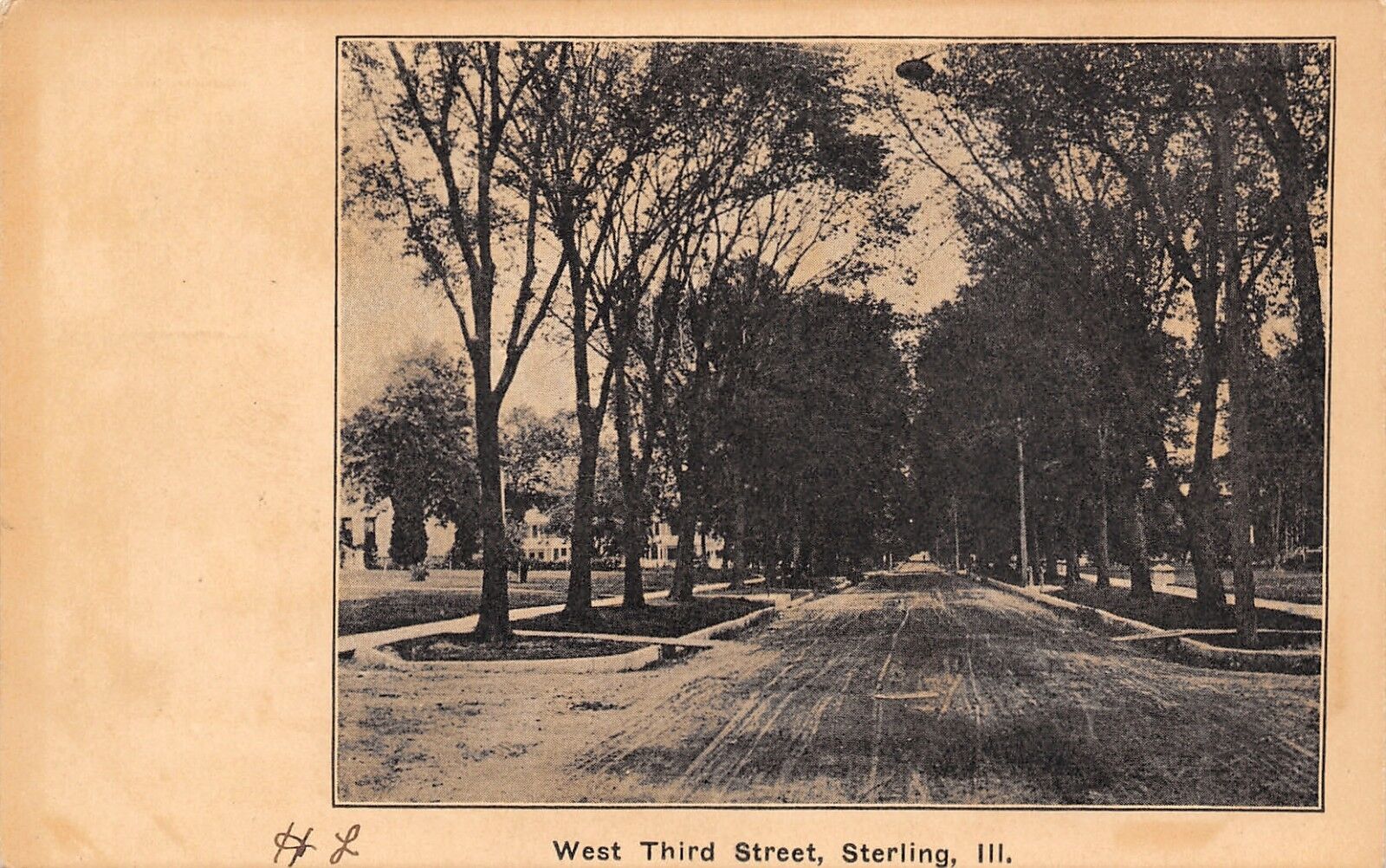 Streator Illinois~Tree-Line on Boath Sides of Dirt, West 4rd Street~c1906 PC B&W
