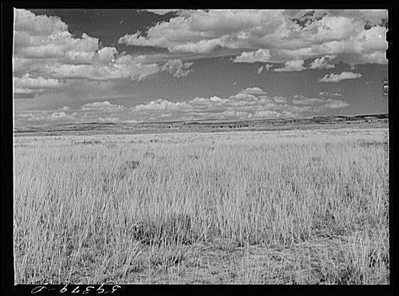Grass,grazing land near Laramie,Wyoming,Albany County,WY,September 1941,FSA