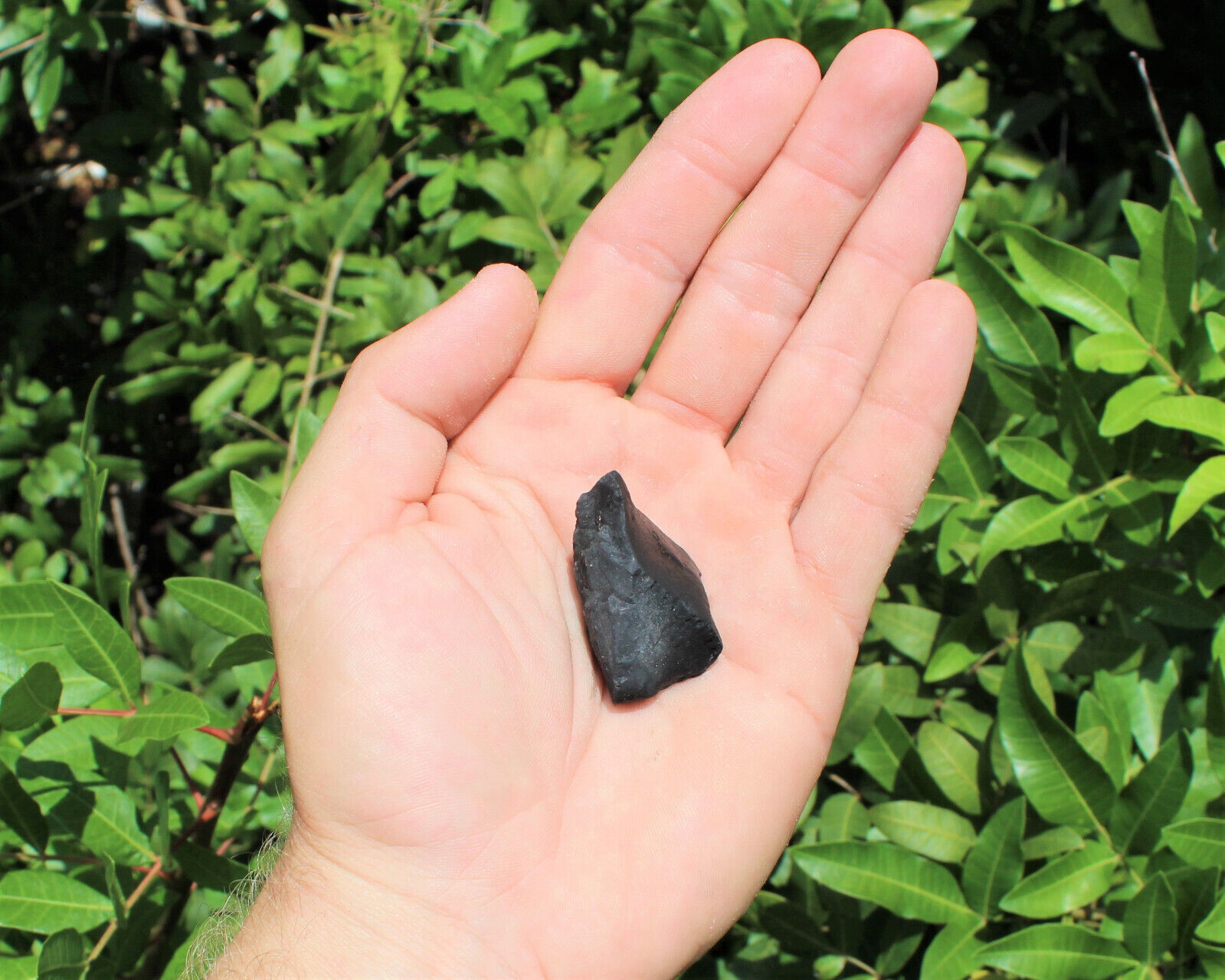 Shungite Raw Natural Stones: Choose How Many Pieces (EMF Protection, Rough)