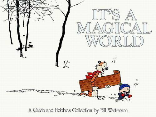 It\'s A Magical World: A Calvin and Hobbes Collection - Paperback - VERY GOOD