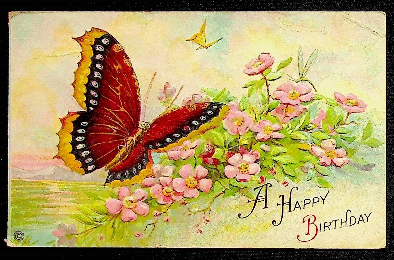 A Happy Birthday Embossed Butterfly Postcard 1900\'s Stetcher