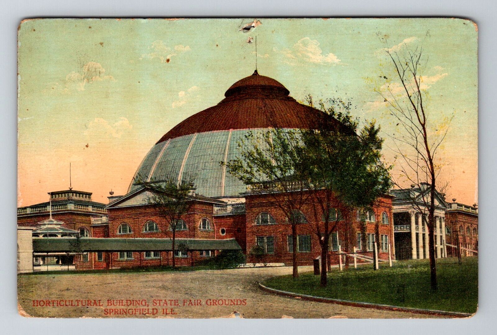 Springfield, IL-Illinois, State Fair Grounds Horticultural , Vintage Postcard