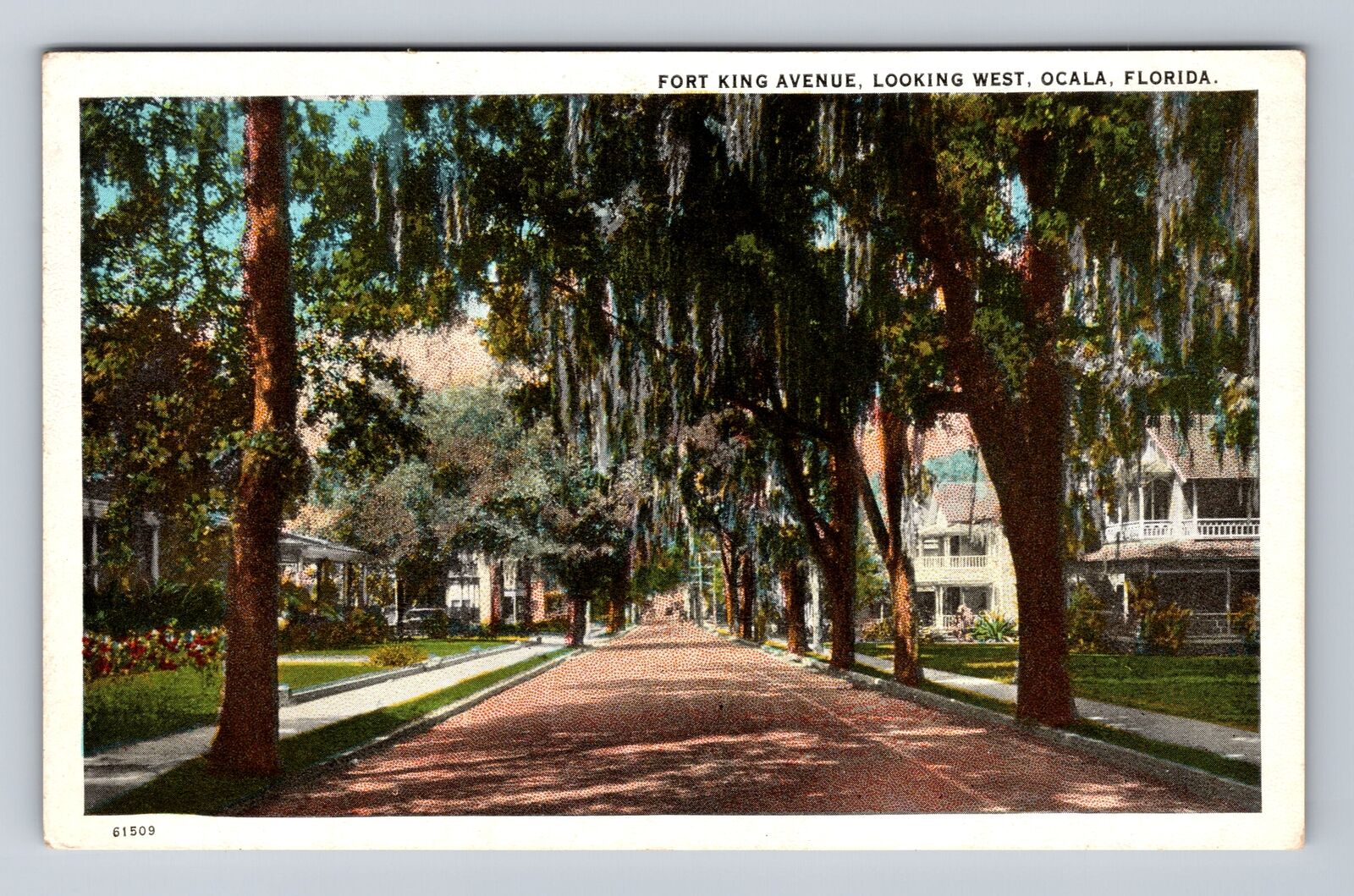 Ocala FL-Florida, Residential Area, Fort King Avenue West Vintage Postcard